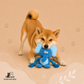 Spielbuddy - Robustes Ziehspielzeug